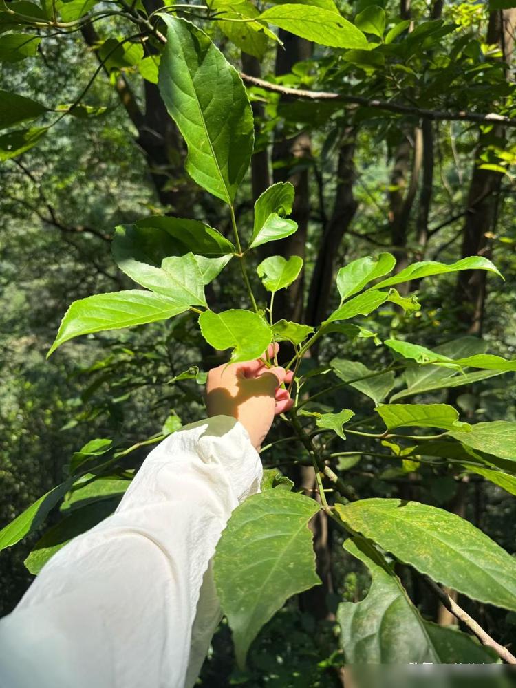 大学陆续开学了，我发现一个特别扎心的现象：现在的父母，不知道都咋了，孩子考上大学