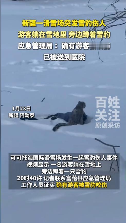 “这下后悔了吧！”近日，新疆阿勒泰，一女子与朋友结伴滑雪，返回宾馆途中被沿途绝美