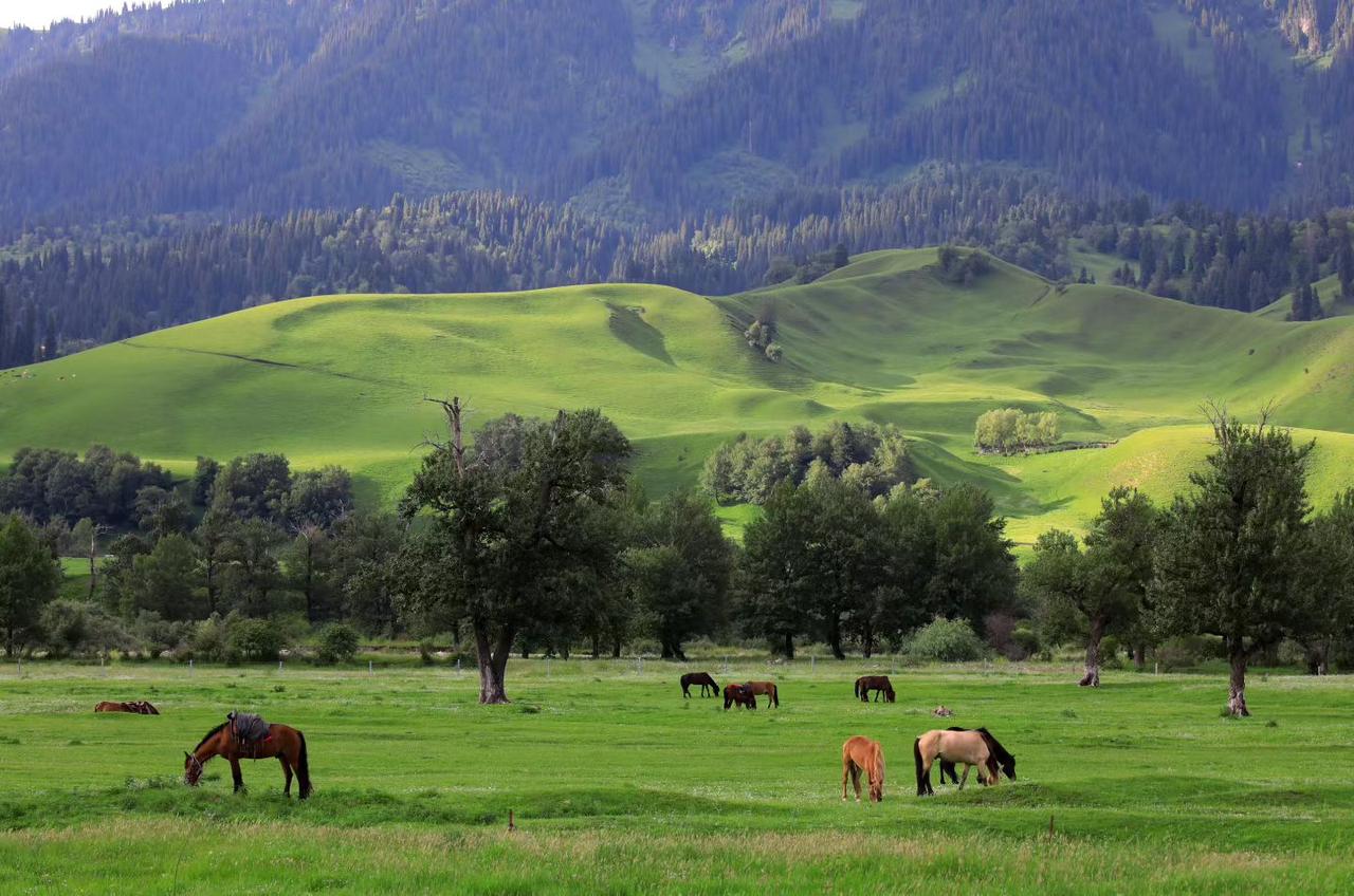儿子:我们厂的机器可厉害了，这边扔头牛进去那边直接出来的就是牛肉香肠。爸爸:那