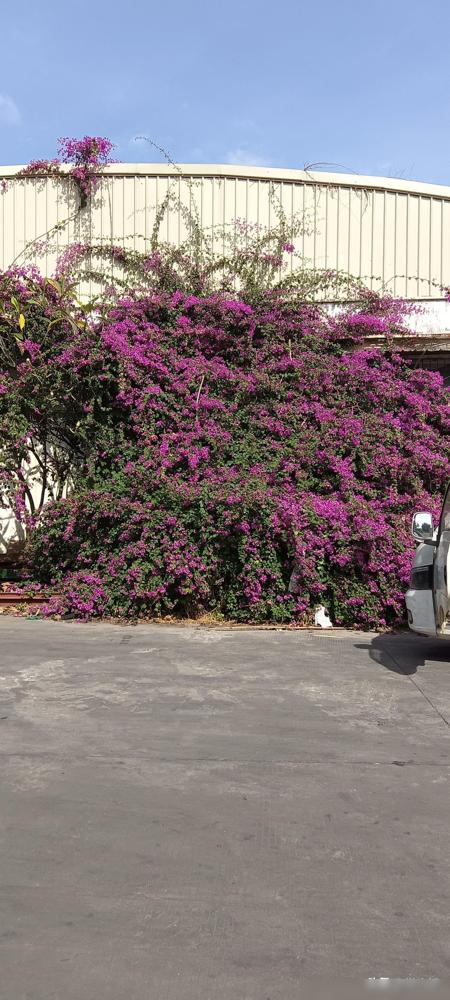 大家发现没，一家公司能不能做大，其实就是看老板的格局大不大。我认识两家福建老