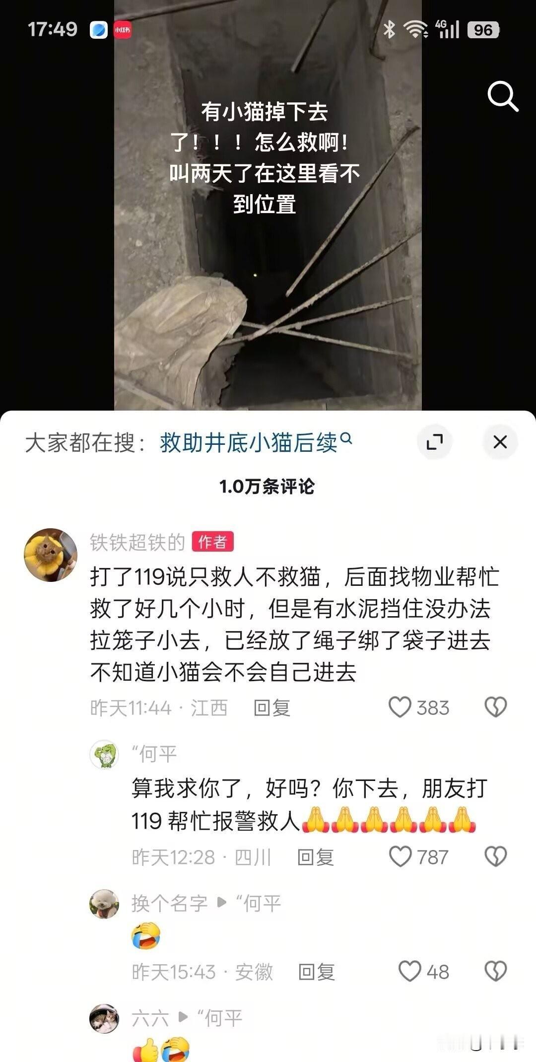 你们消防员只要下去救猫就可以了，而我们爱猫人士要思考的就很多了舍生喂鹰这一块（
