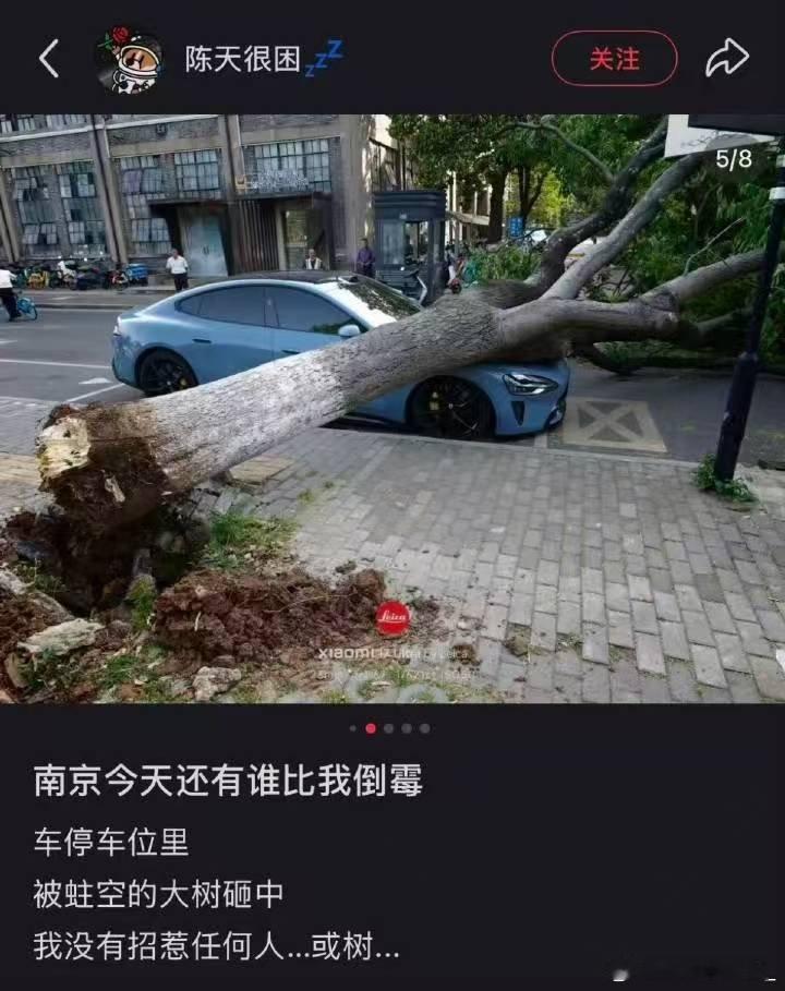不仅曝光别人车牌还直接造谣撞树你说这种人真的是