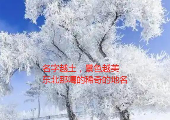 东北的自然风光是真的美，但是景区名字是真的“土”，土到返璞归真，归到脚后跟似