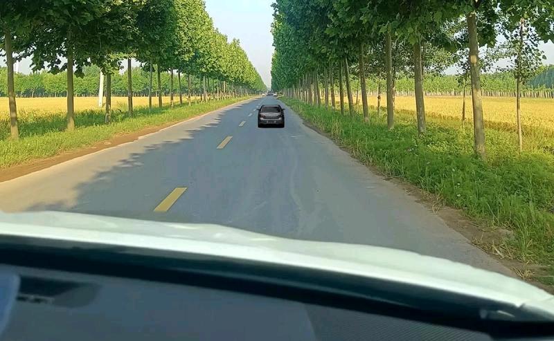 妹妹远嫁，兄弟俩开车1000多公里，沿着崎岖山路，边走边打听，终于在田埂边上看见