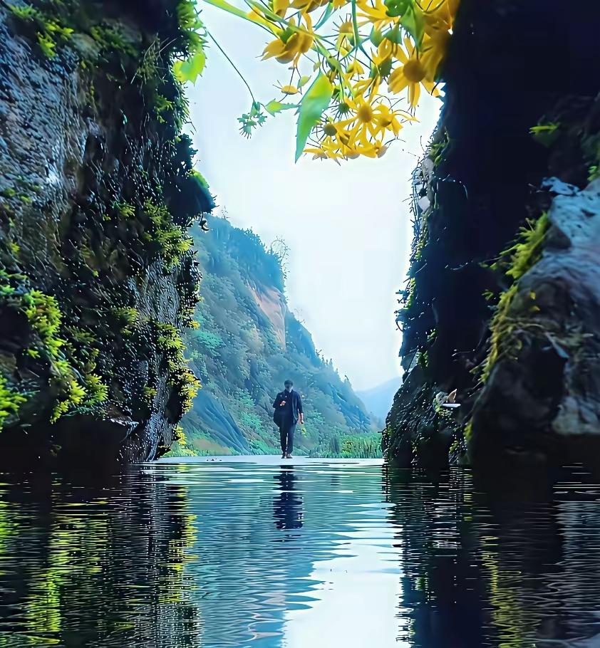 牛哇，第一眼感觉是大片，待看清拍摄地方，竟然只是两块石头，一束花。有创意，拍的