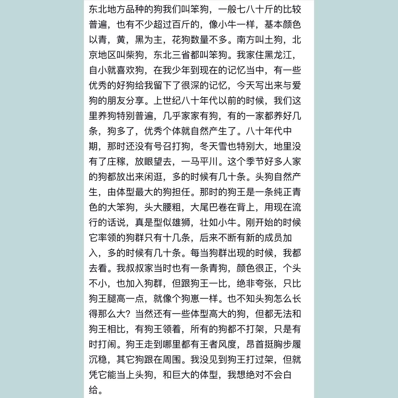 东北地区的大笨狗真的这么厉害吗？这位东北网友讲述的他小时候的当地土狗，北方大笨狗