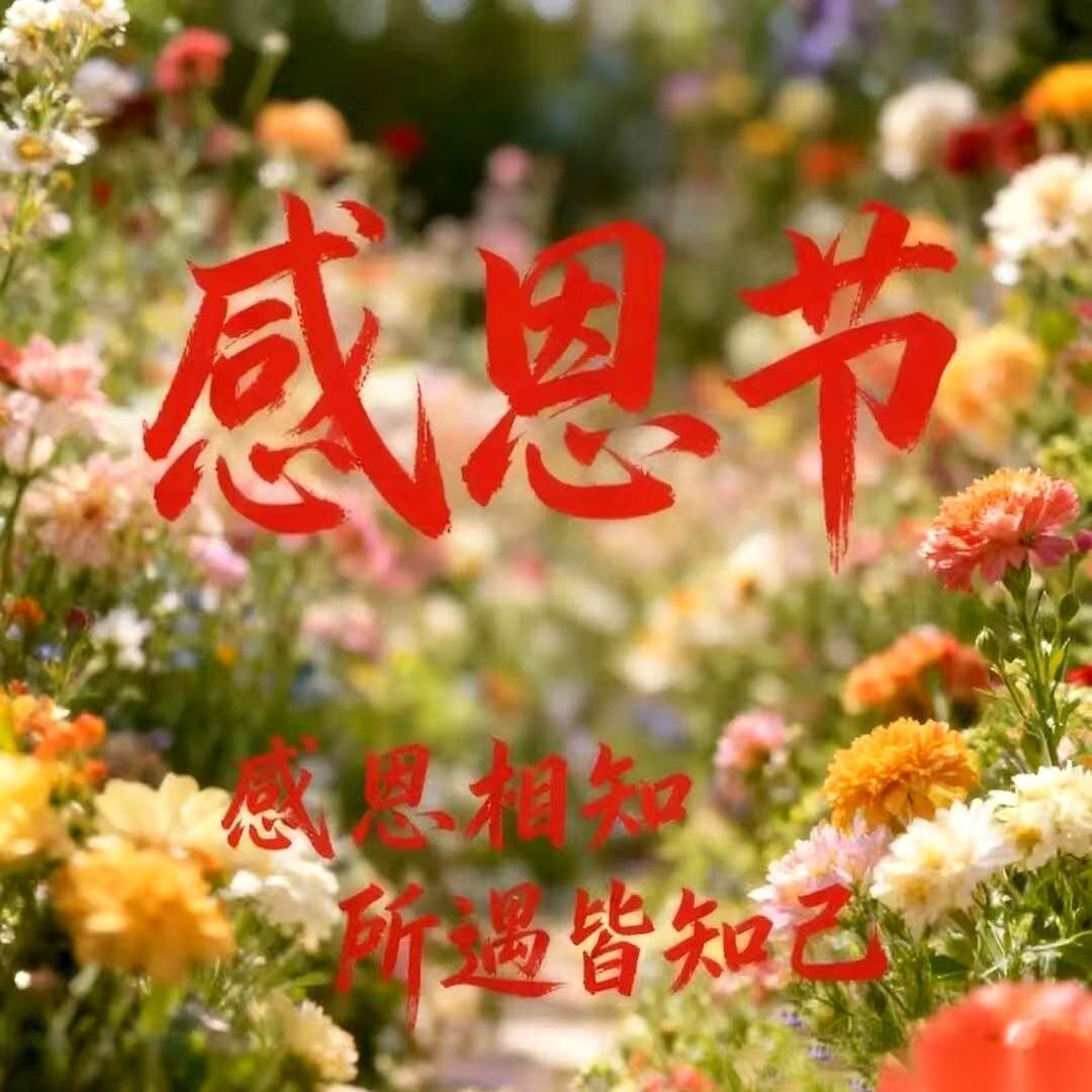 朋友圈刷下来一溜的“感恩”。突然觉得，真正的感谢，好像都不是在今天说的。是深