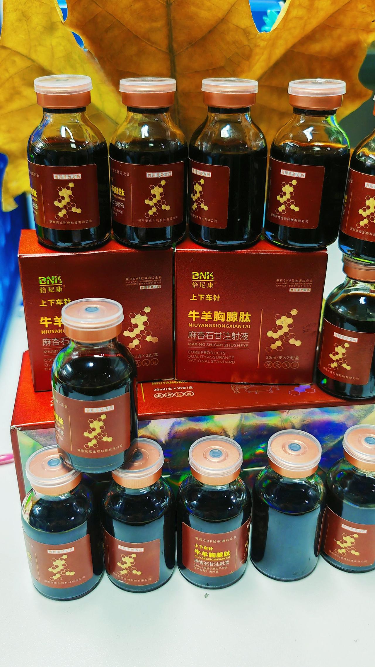 养牛羊养羊人农村养羊