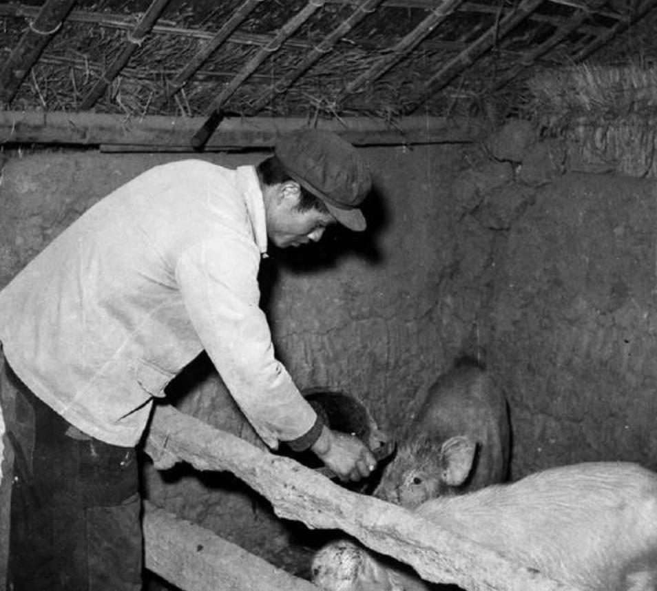 1965年，沈阳有关部门下达了一道通知，要求：“猪肉7折销售，可以先买肉后给钱（