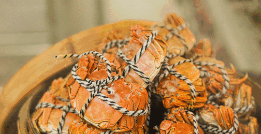 硬核研究所【河蟹死后千万不要再吃了】螃蟹是杂食性动物，容易携带多种细菌及毒素