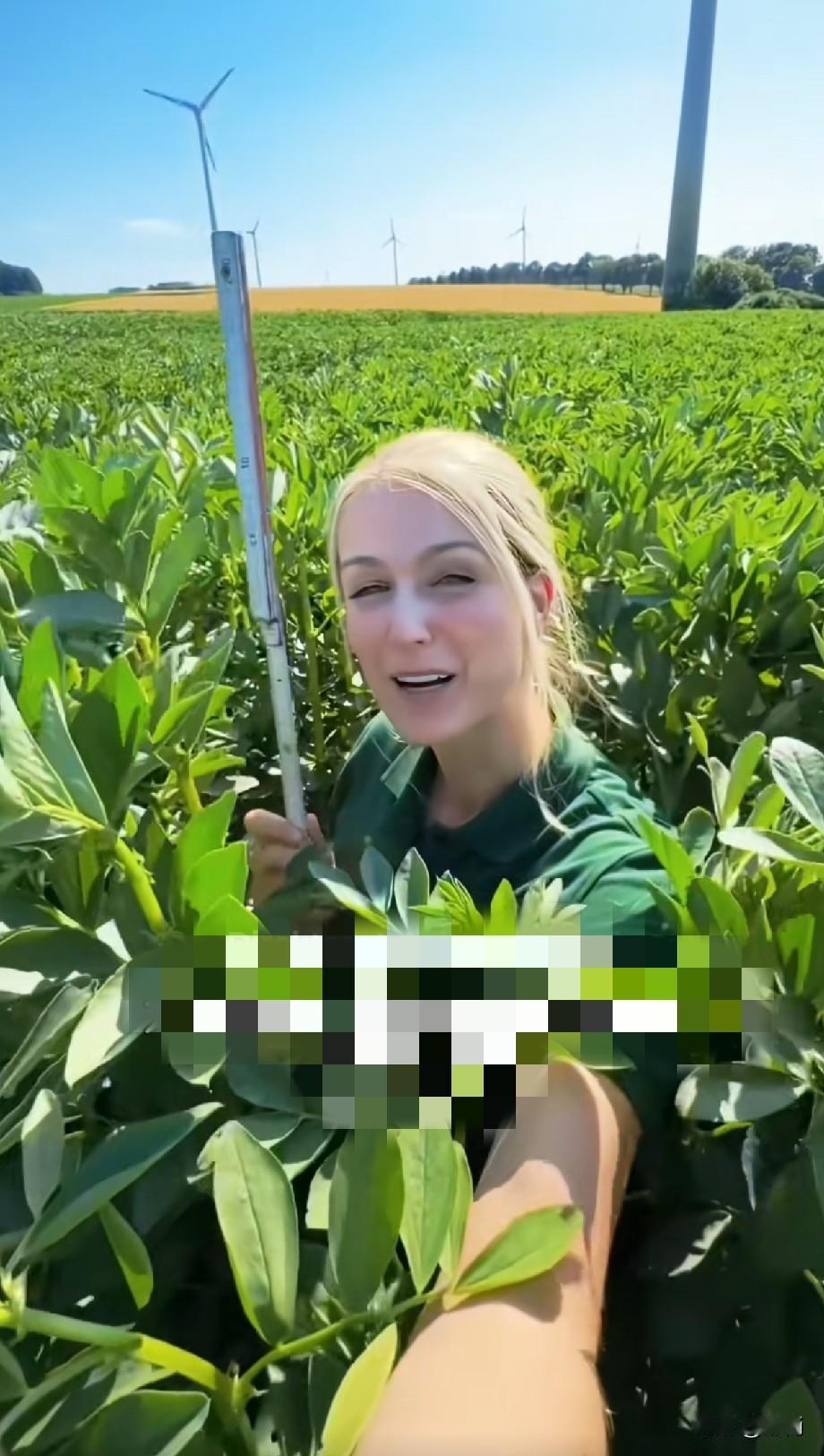 这是什么植物，没见过
