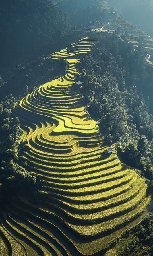 绝美的梯田景观​​​