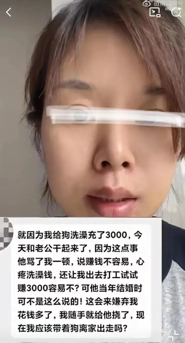 一女子给狗洗澡充值3000元，丈夫知道后，崩溃大骂：“我活得狗都不如，现在赚钱那