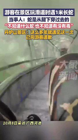 “这也太吓人了！”广西河池，男子去景区坐滑道，坐一半感觉有东西从身下穿过去了，他