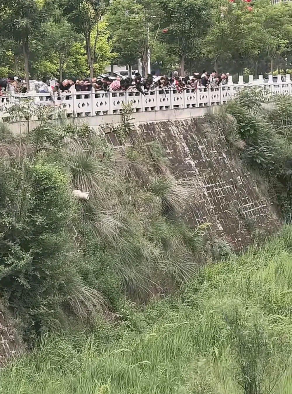 甘肃华池县这事儿太吓人了！近日，华池县西沟河河滩惊现成群颈槽蛇，好多市民都围在河