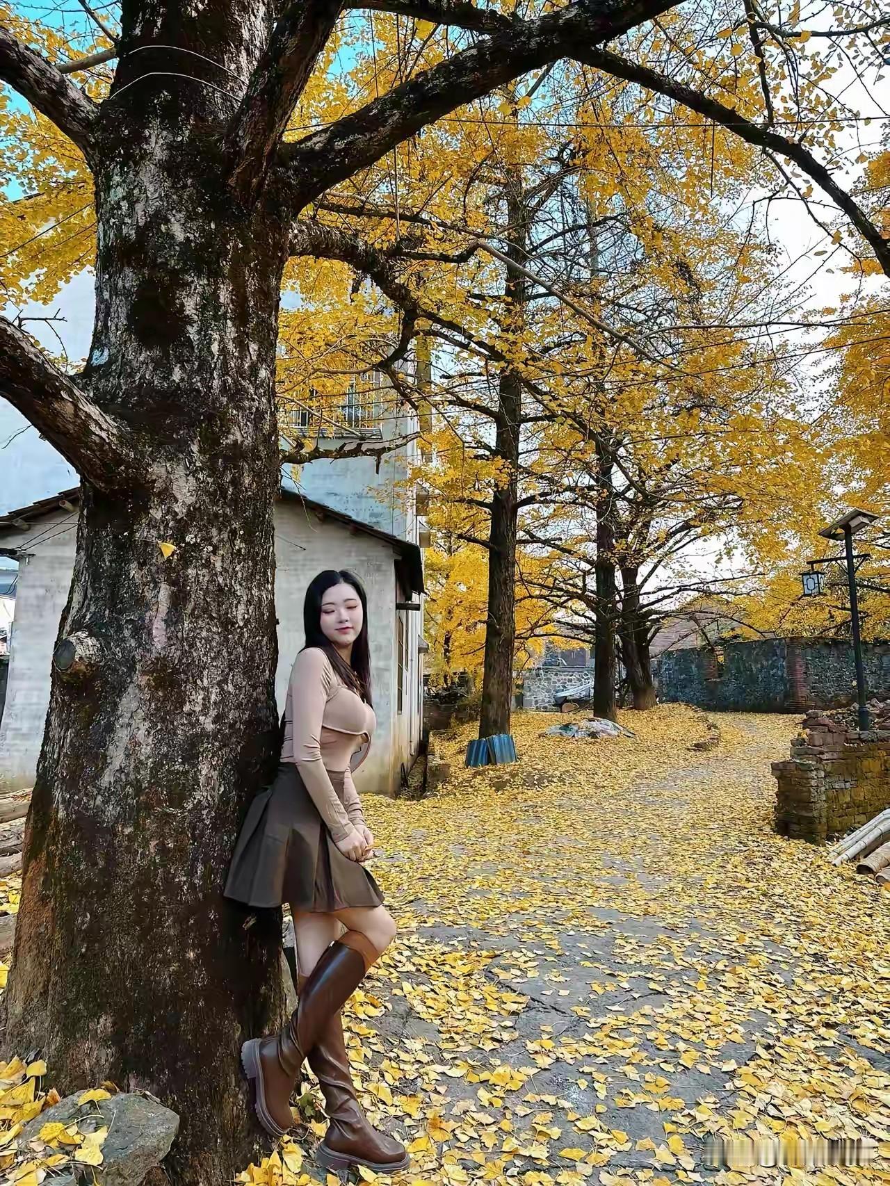 秋日暖阳下，黄叶铺满小径，少女倚树而立，静享时光。