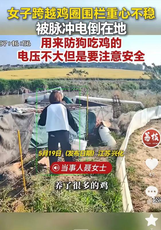笑不活了！荔枝新闻5月20日报道，江苏兴化，聂女士为防野狗偷袭家禽，在家中鸡圈装