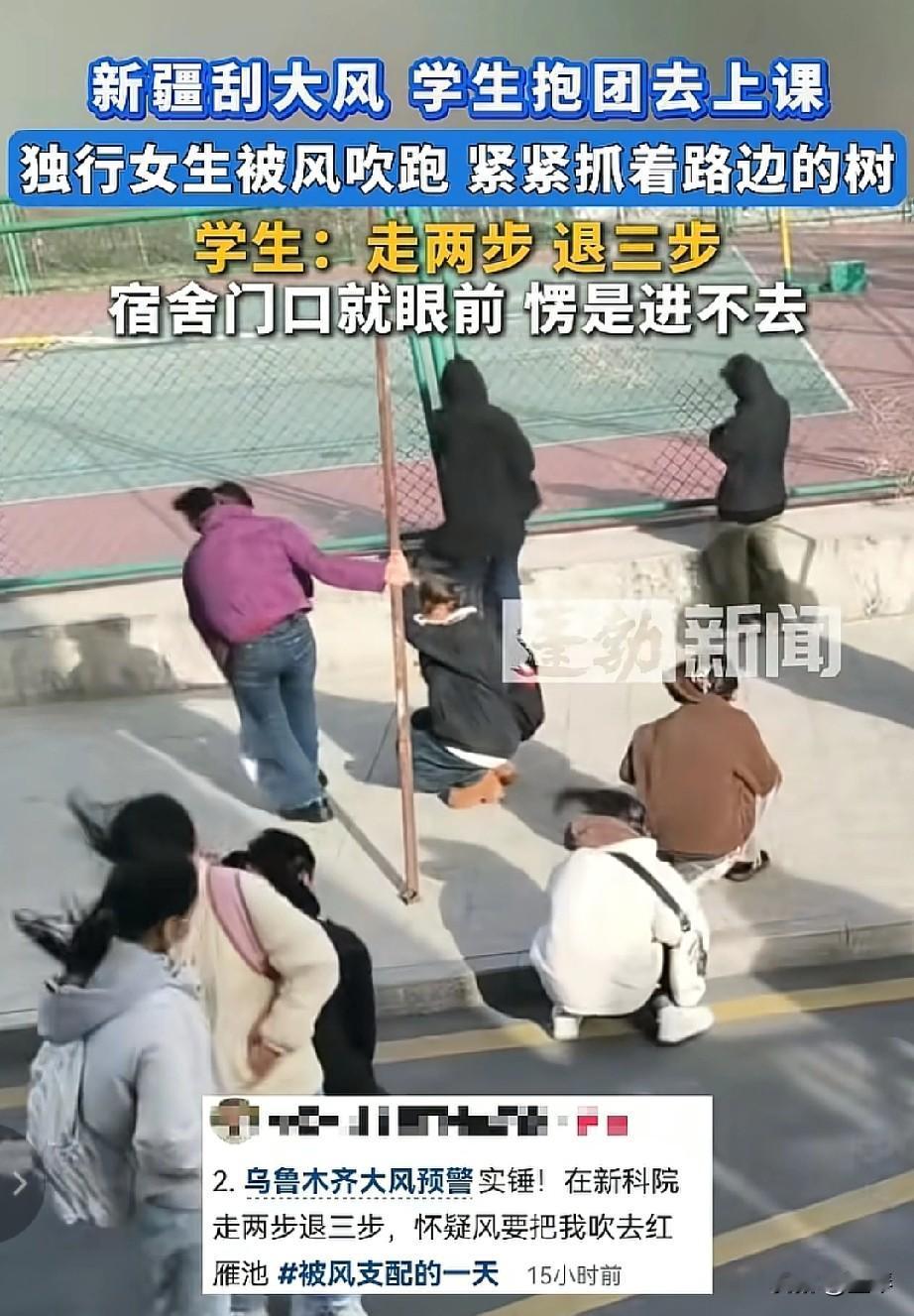 新疆的风有多大，看看这些吹得东倒西歪的孩子们就知道了……[笑着哭]11月17日