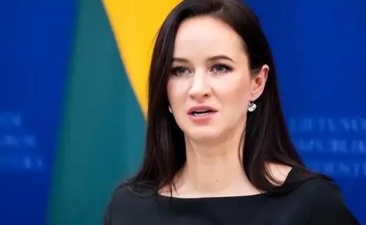 立陶宛“撞南墙”后求和，新总理悄咪咪删掉抹黑中国的18字，中方已读不回！曾几