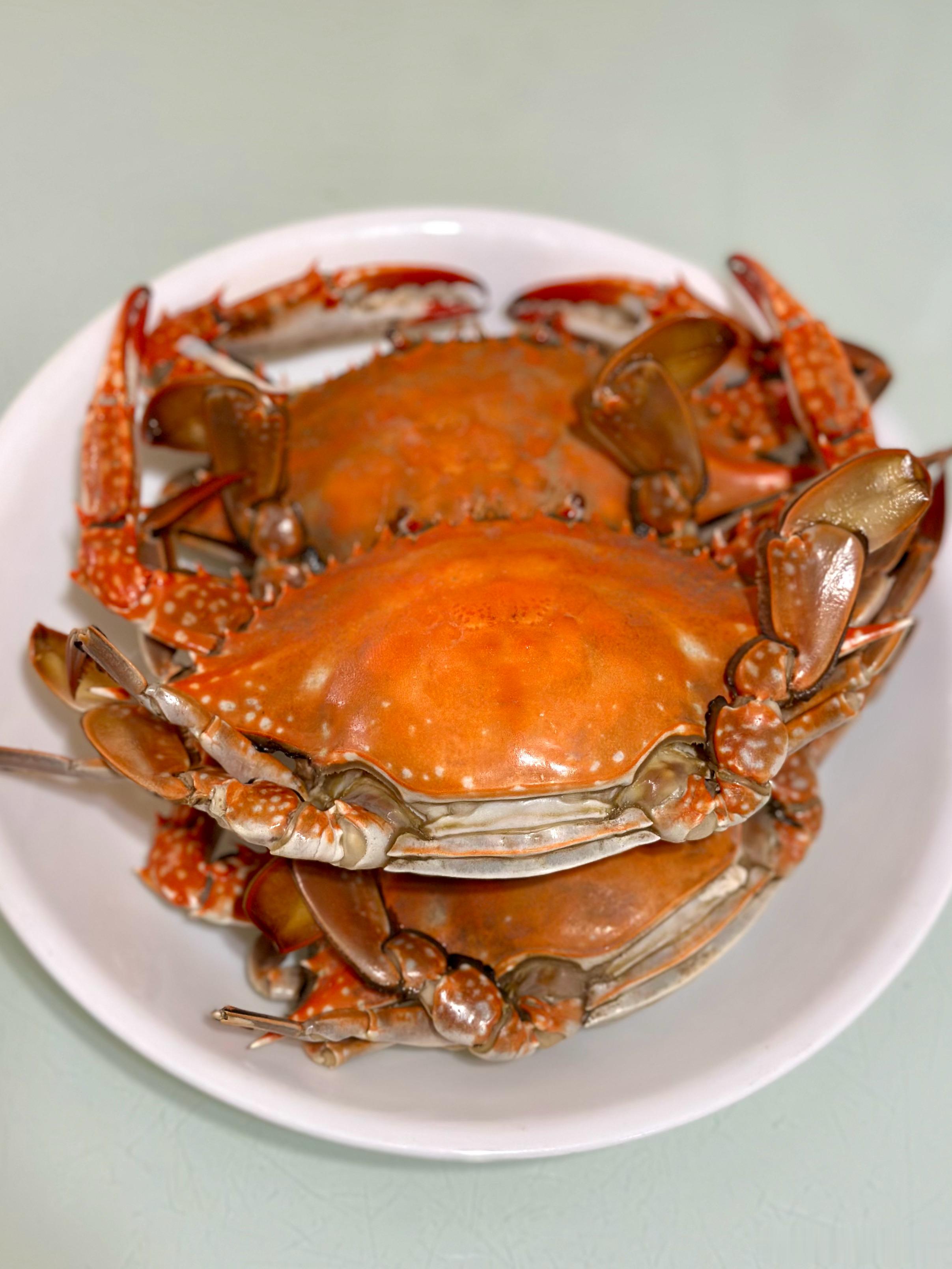 🦀螃蟹自由太过瘾了，蟹肉炒蛋堪称一绝！青岛美食美食分享我的美食日记美食青岛