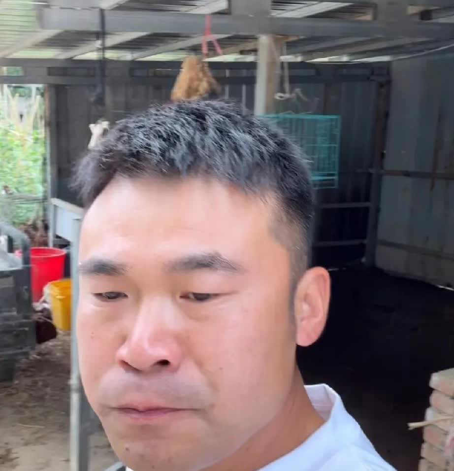 二婚阿杜黄瓜吃不完喂猪！阿杜把继父的角色表现得淋漓尽致！之前瑶瑶要吃黄瓜，阿