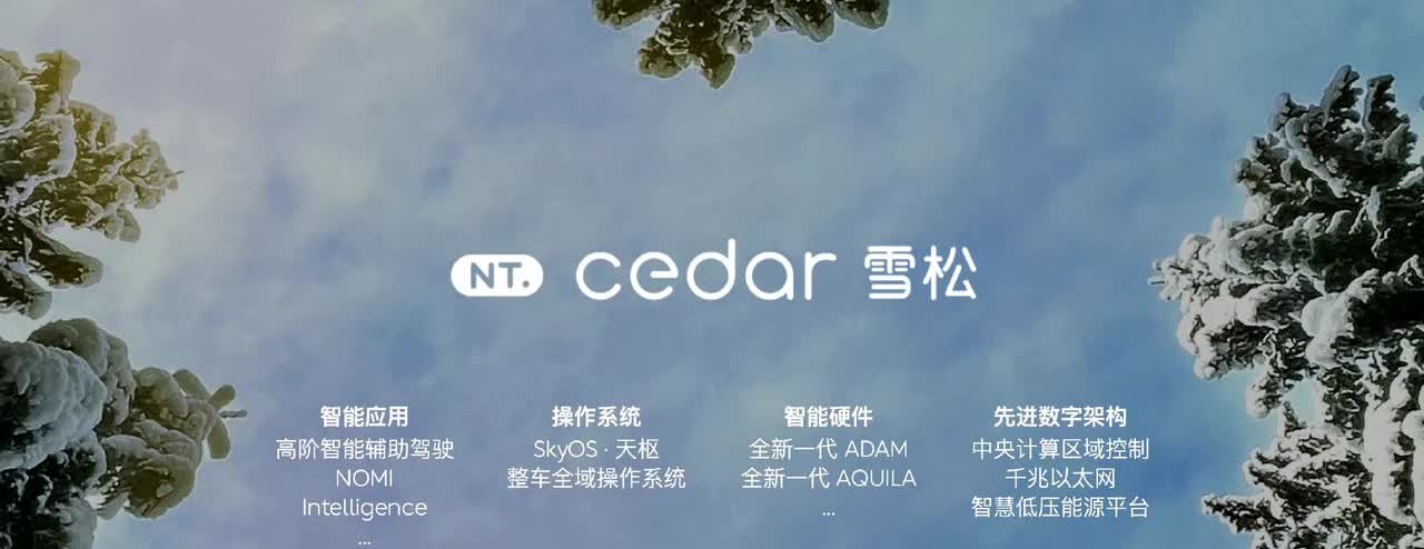 蔚来全新车机系统叫cedar雪松，榕树将是过去式，以后就是一套系统，所有新车都用