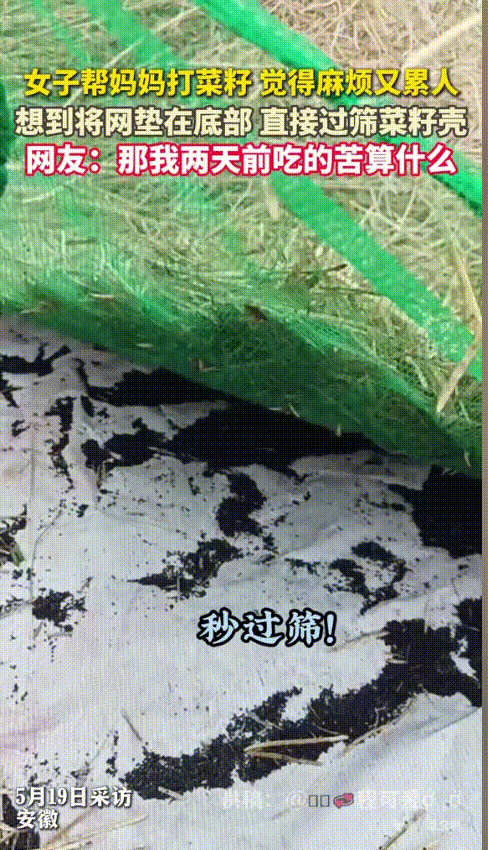 “劳动人民的智慧！”安徽，一女子帮妈妈打菜籽，觉得妈妈的办法又麻烦又累人，于是灵