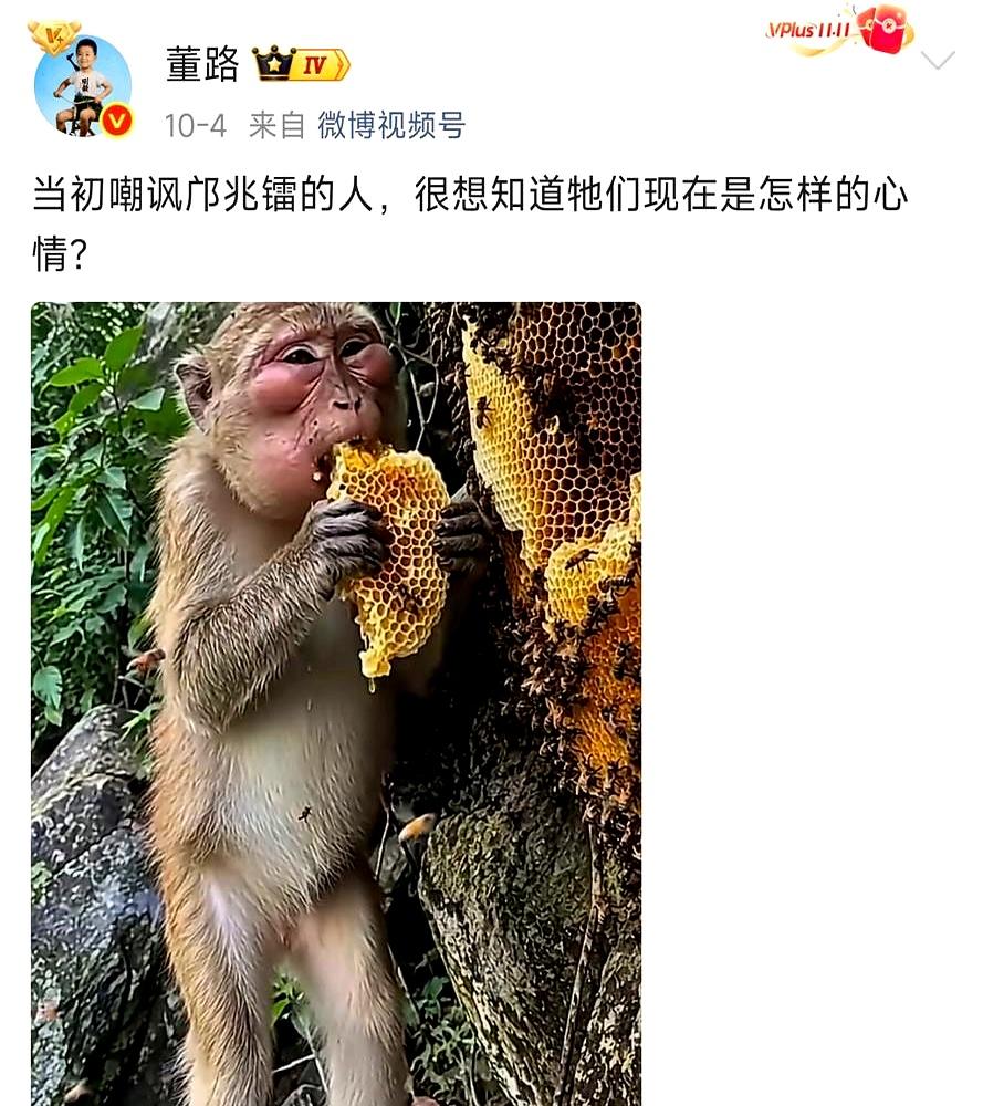 当初骂邝兆雷出口转内销的那帮人，现在脸疼吗。今年1月那阵，小邝在西班牙拿不到证