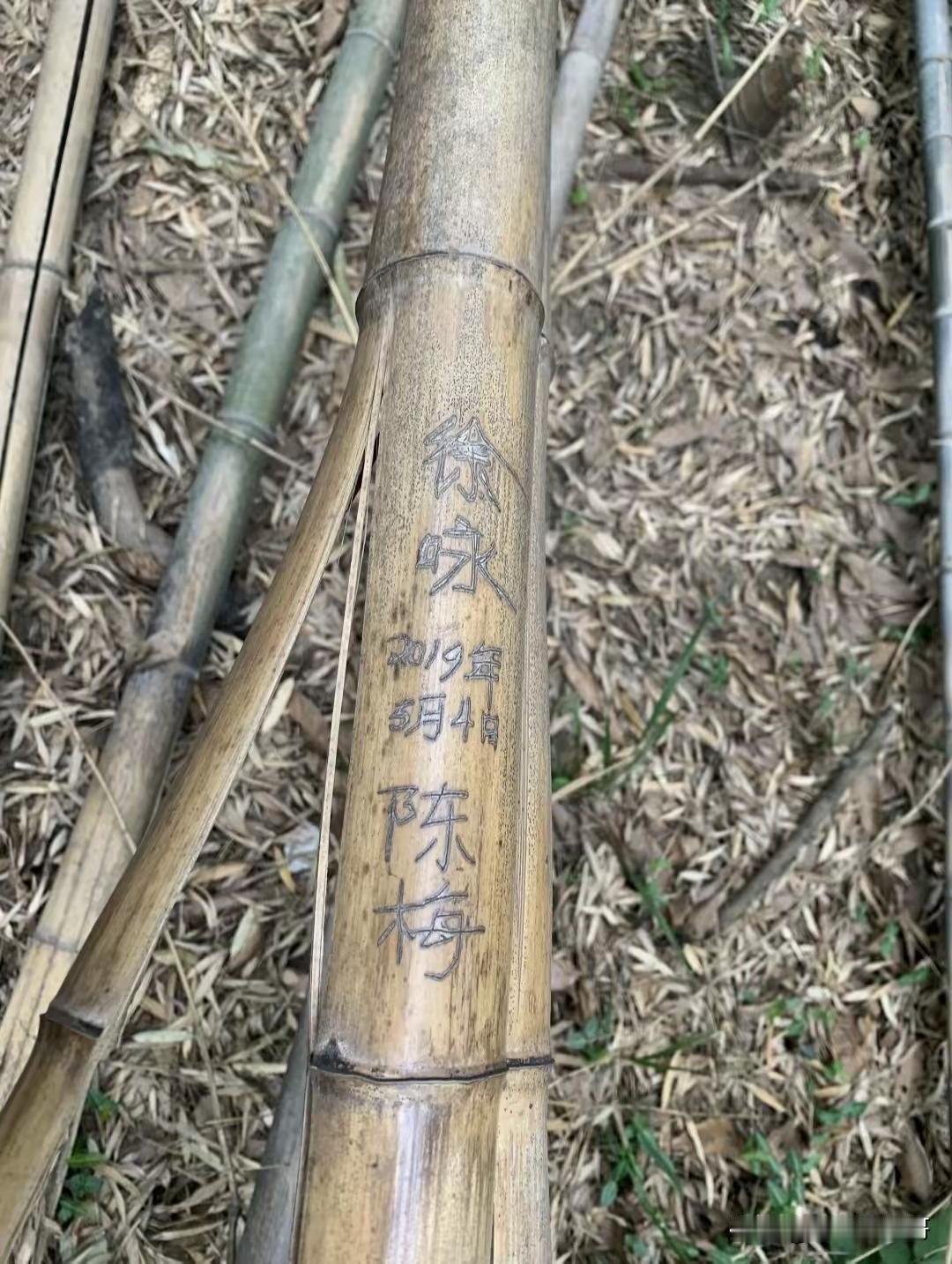 不要刻竹子上，最后不是绿了就是黄了