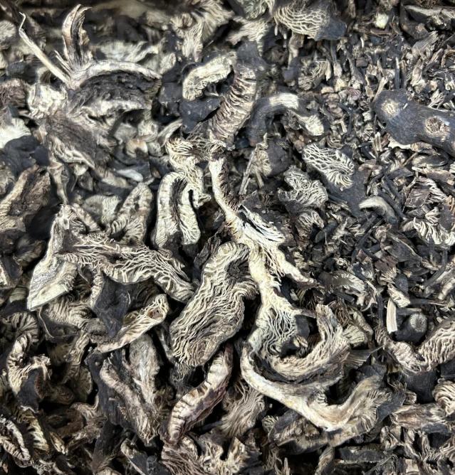 调耳鸣脑鸣的方子，我只发一次：主药就1味，整个方子成本不到10块！耳鸣脑鸣这事