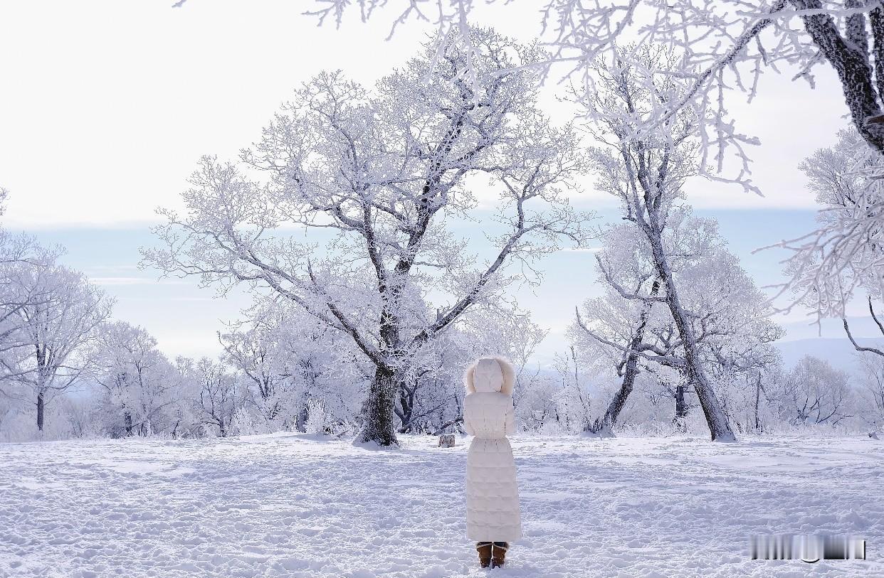 美图壁纸共享风景类壁纸很受欢迎，看着舒心。