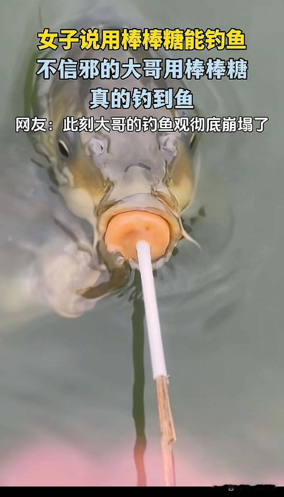 什么钓鱼邪修火遍了大江南北？到底是是什么邪修方法让一直空军的大哥，感受到了钓
