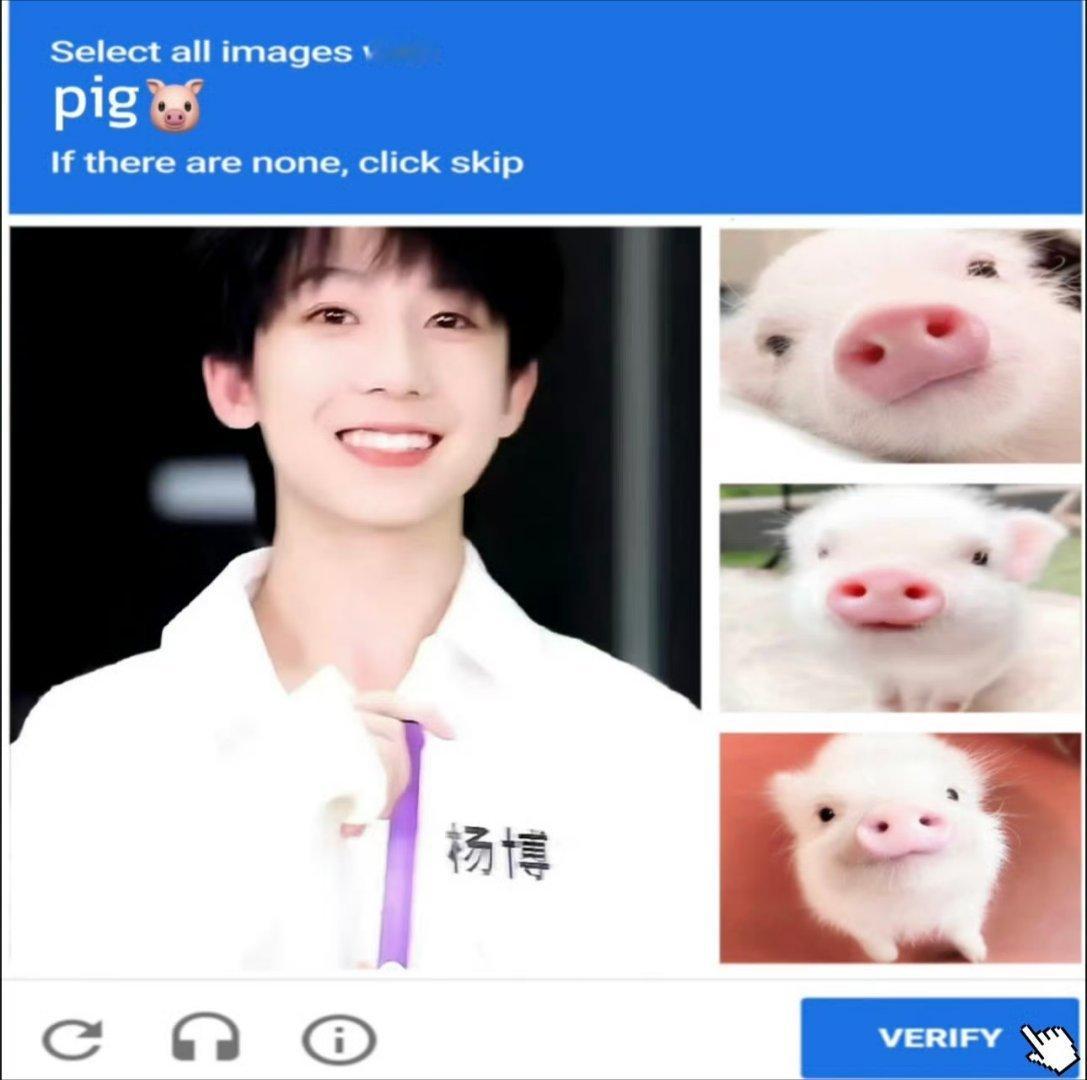 杨博文你是谁家的小猪˙Ꙫ˙