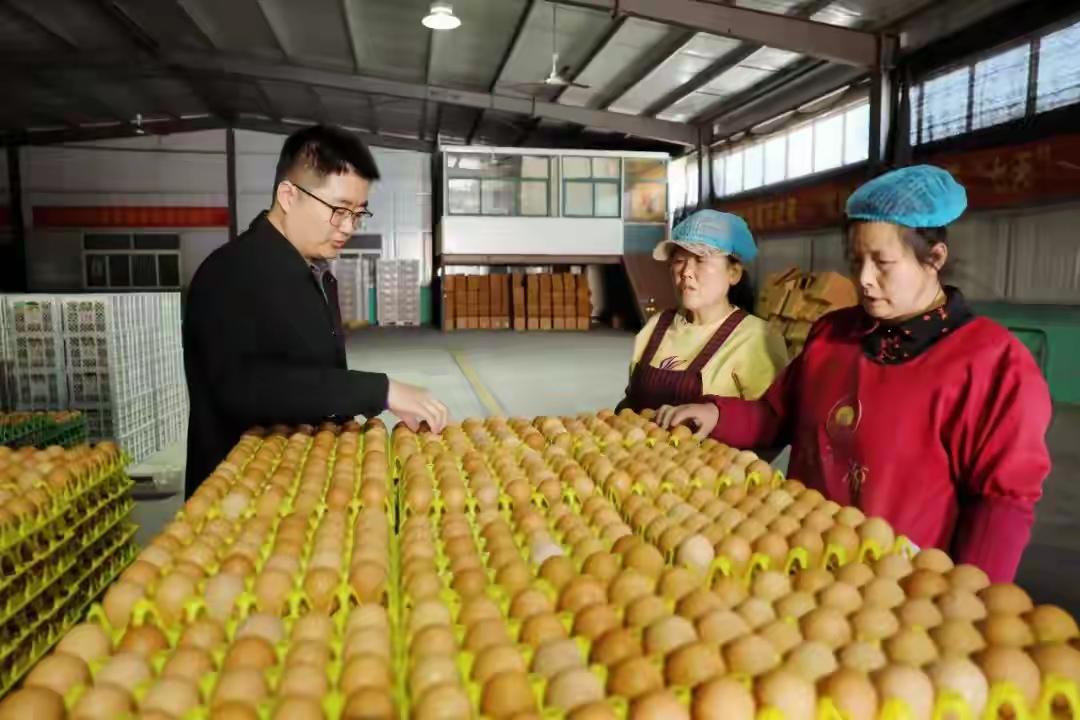 在这个春意盎然的季节里，有一对普通的养鸡夫妻，凭借一份坚持与智慧，竟然迎来了人生