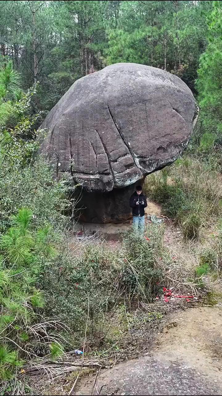 太神奇了，就连专家也无法解释。在重庆深山老林里发现一块神奇的石头，它外形酷似一朵