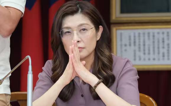 郑丽文口误，喊“蓝白对决”，被一人直接来了个下马威日前，国民党主席郑丽文陪