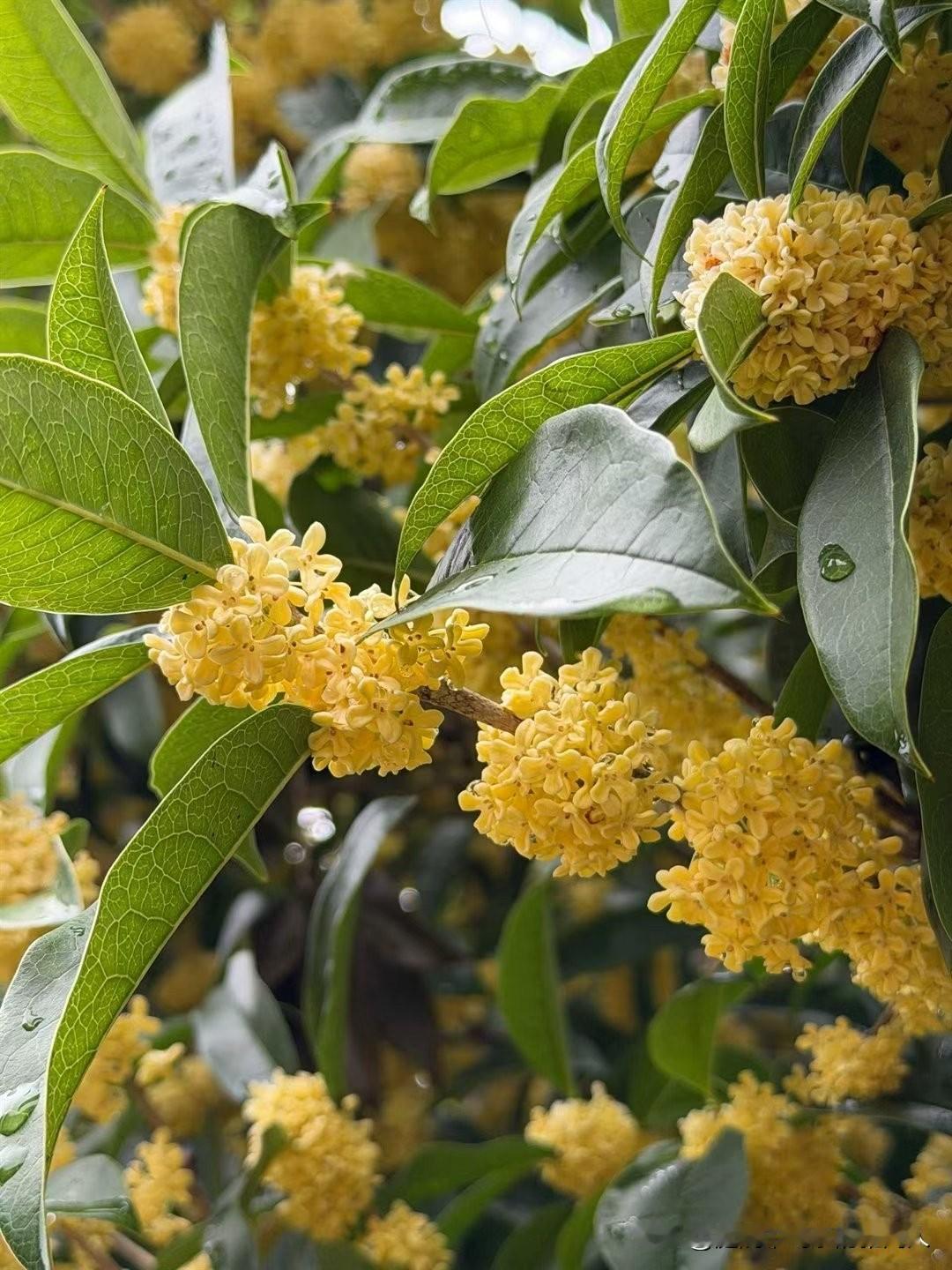 这年头怪不年轻人不愿意生小孩了！自从小孙子出生到现在，从刚开始的喜得添丁，到现在