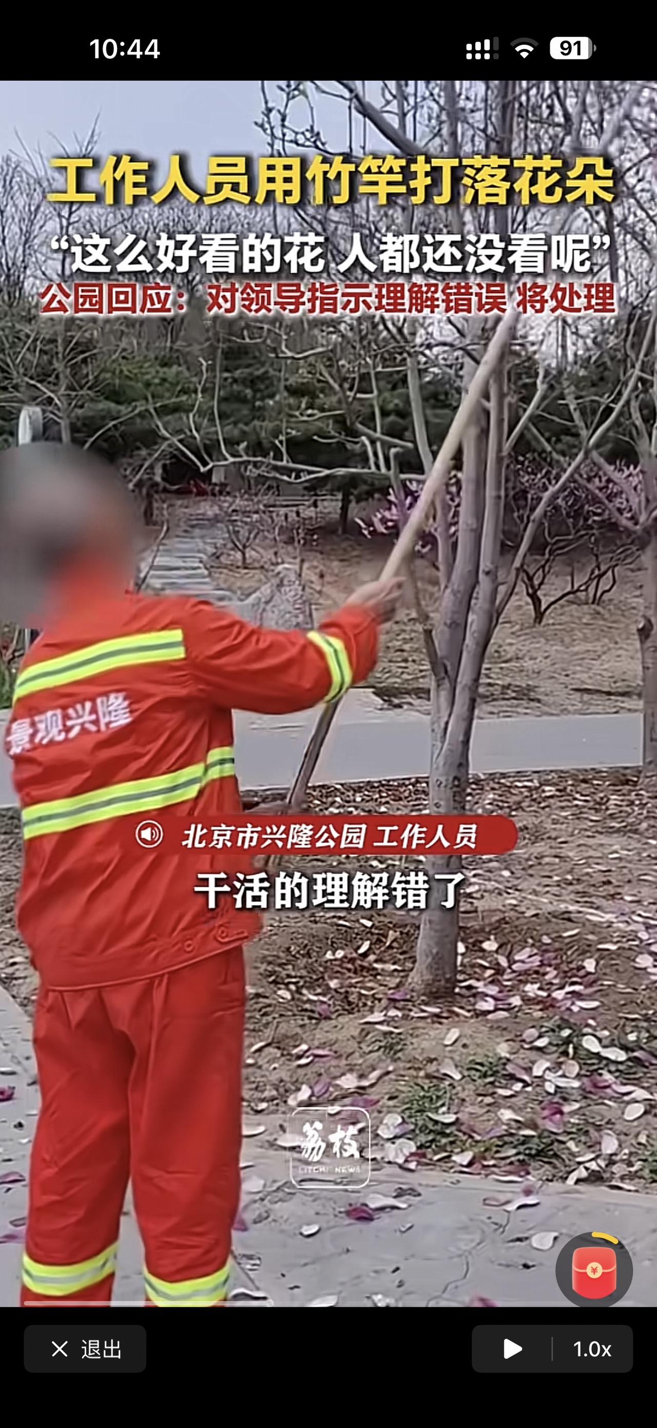 你有没有发现，每次出事，最先“消失”的，永远是最底层的人。这次北京公园“打花