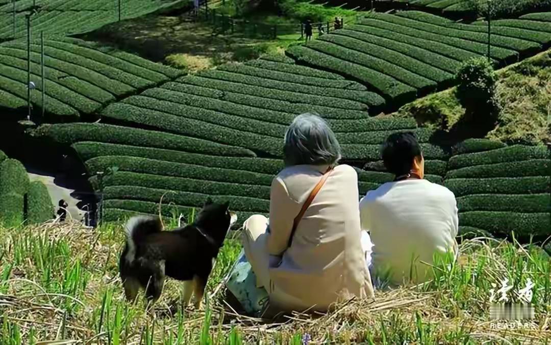 谁的婚姻不这样，要么忍，要么离！”多少婚姻的真相：过不好，也离不了...