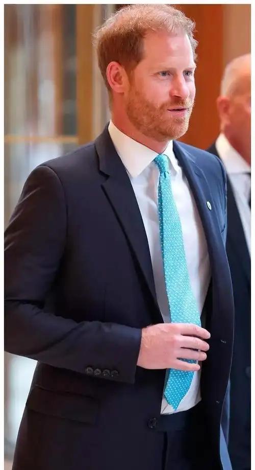 就因为哈利不想再参与王室的交易游戏，他被跟王室有利益输送的英媒写成了疯子。 