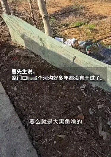 挺吓人的，河南，一男子在其家长散养了几只大鹅，但一个月前，男子发现这其中一只18