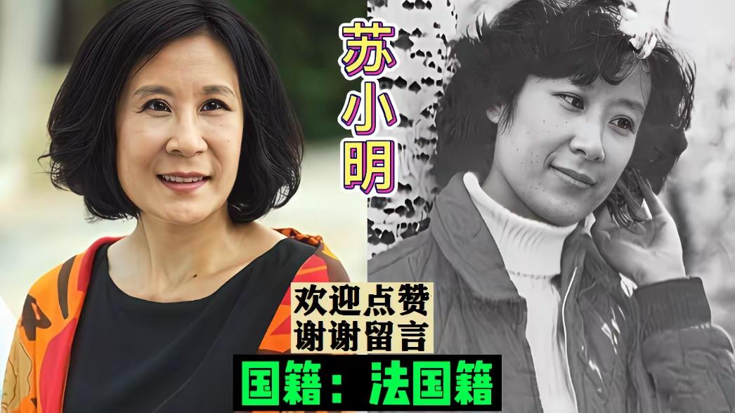 年轻时候的丛珊，年轻时候的邬君梅，年轻时候的丁岚，年轻时候的杨恭如，年轻时候的郑