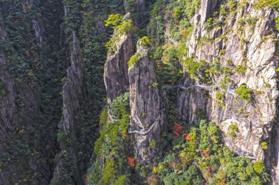 安徽黄山 峰林尽染