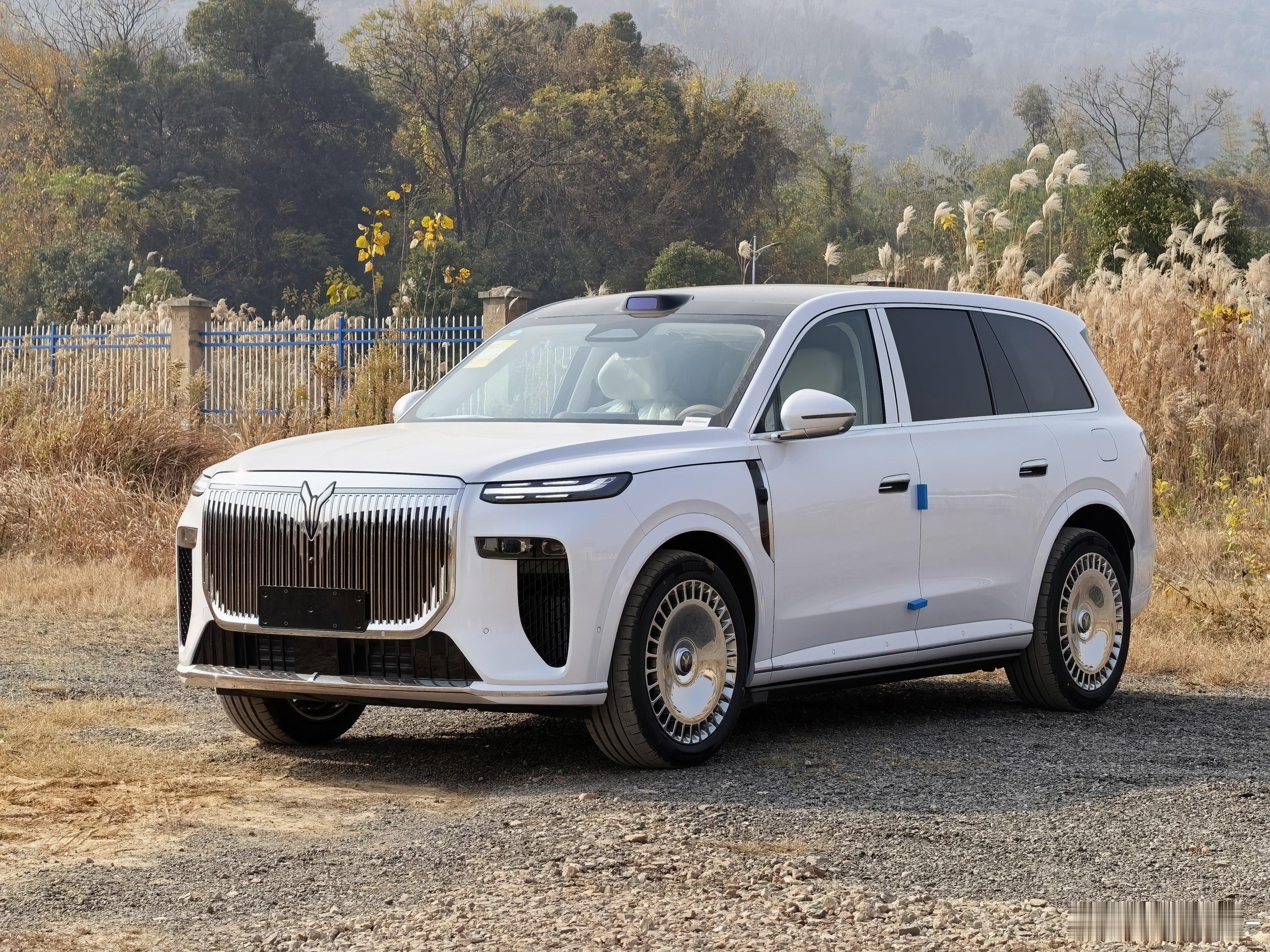 白色大岚图见过没白色的岚图泰山精神不自己开安排白色没毛病吧我和汽车的日常