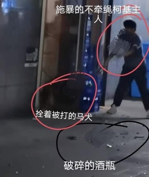 “这狗招谁惹谁了?”最近浙江杭州发生的事儿,让全网看得直冒火——一只拴在门口的马