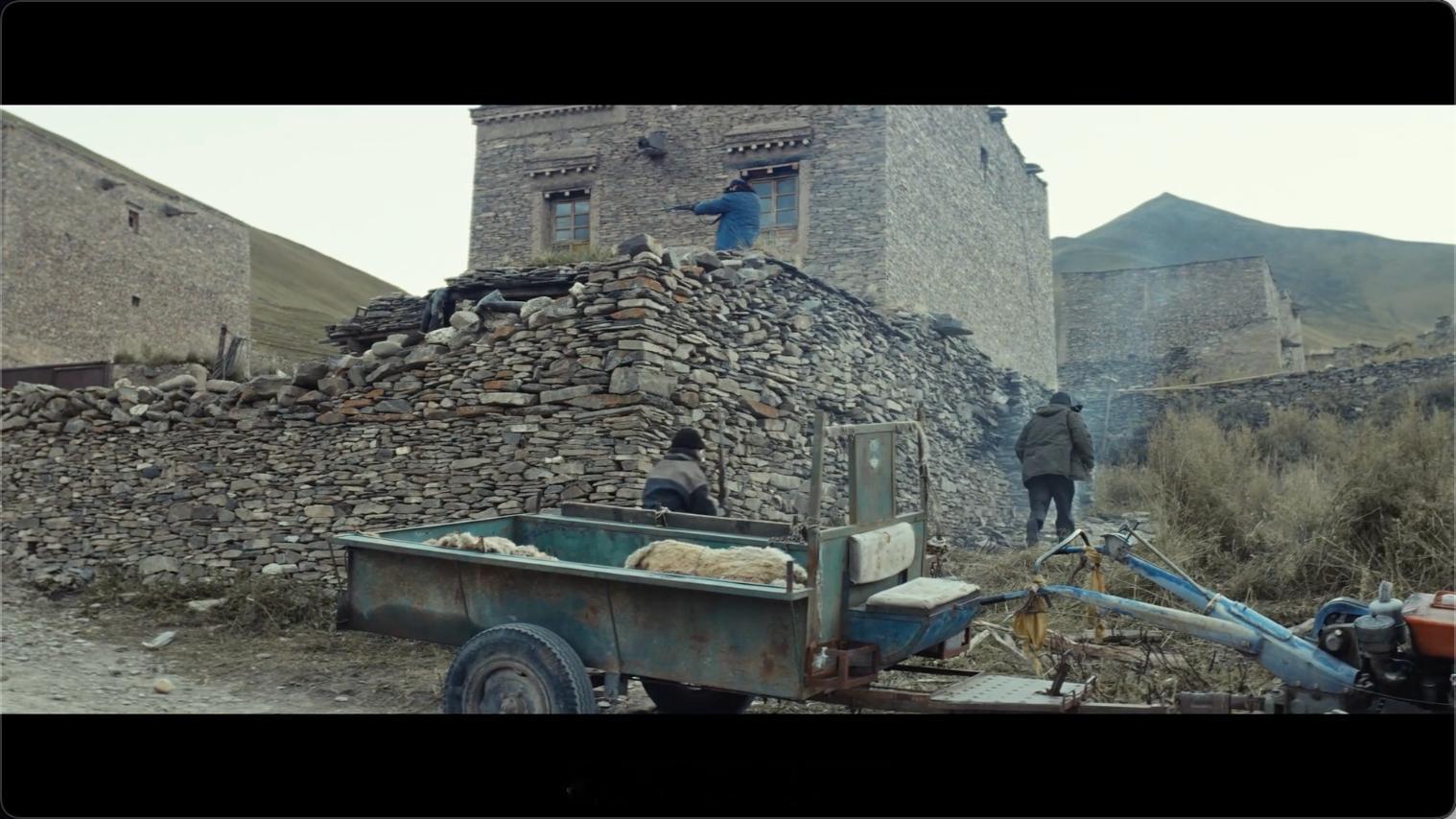 生命树我的评分：开年第一爆要让生命树拿下了就这个电视剧生命树实至名归剧情全