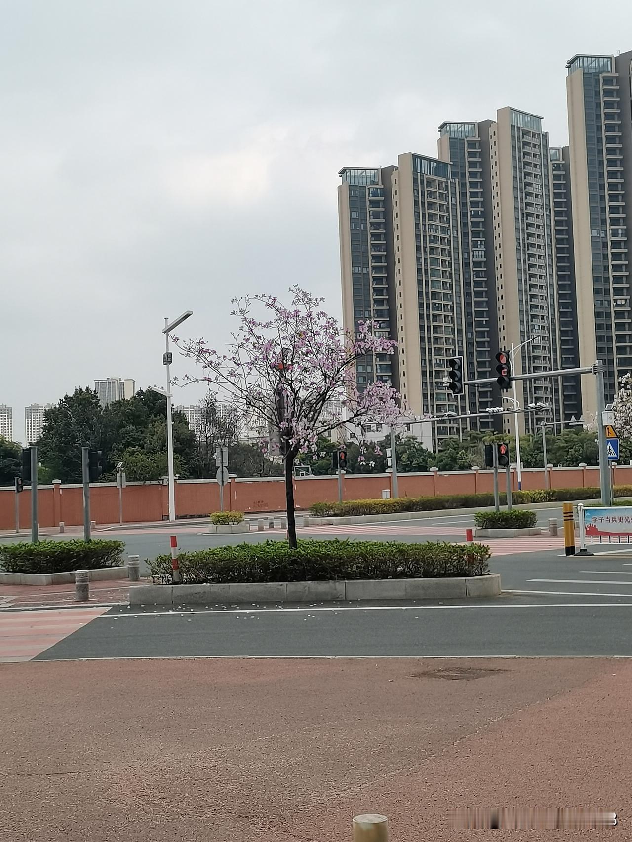 我姐和我堂姐同岁，而且都是生了两个儿子，前30年她们两的命运非常相似，30岁之后