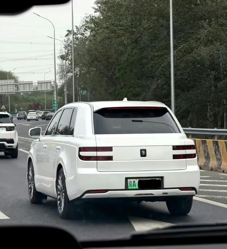 网友：这车怕是比库里南少见多了，稀缺度跟高合有的一拼吧？​