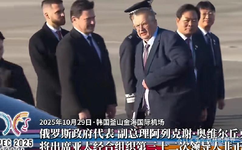 俄副总理赴釜山参会，APEC峰会开在釜山，俄罗斯副总理奥韦尔丘克带队到访，韩国的
