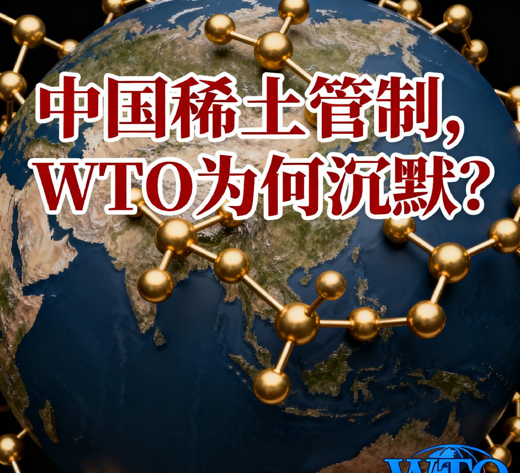 大家有没有发现，2014年我们管控稀土出口，美国，欧盟和日本向WTO起诉，最终W